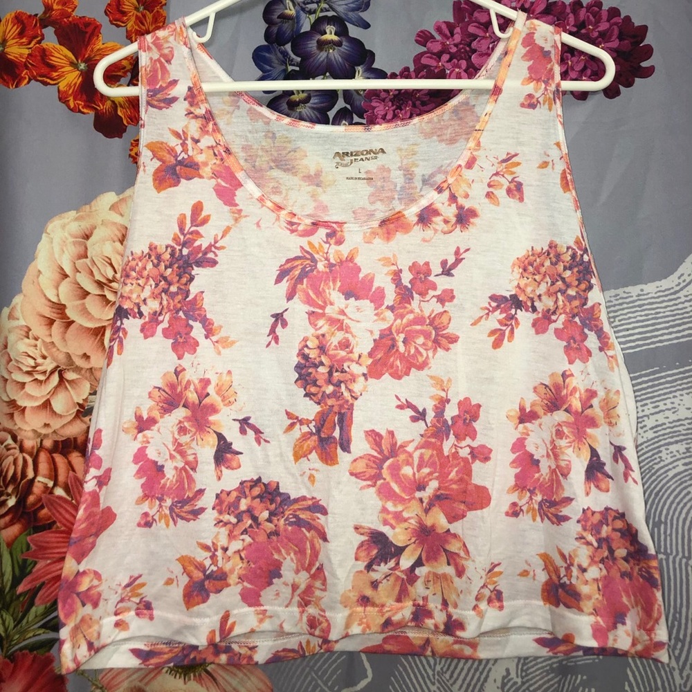 NWOT Arizona Crop Top
